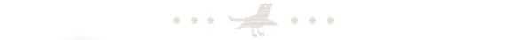 staff_bird01.png