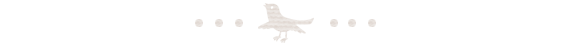 staff_bird06.png